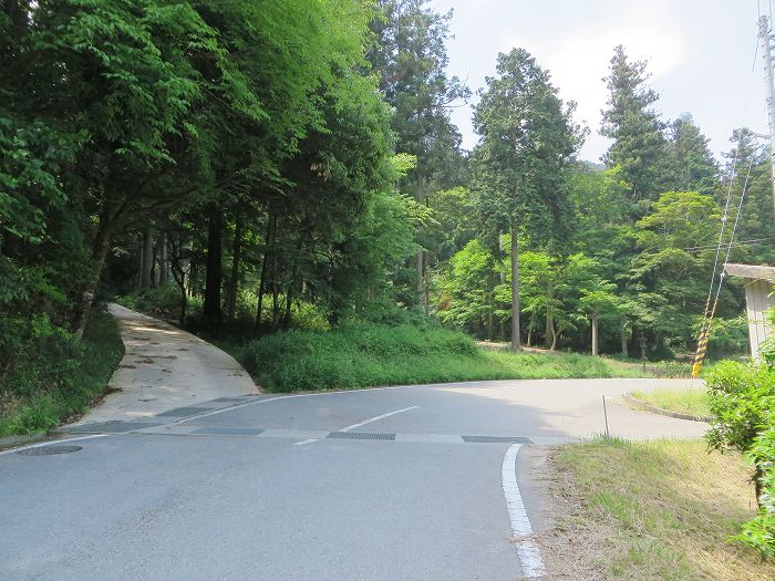 篠山市北野/波賀尾岳を散策