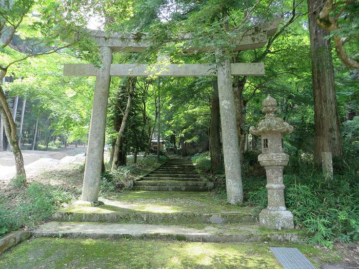 篠山市北野/波賀尾岳を散策