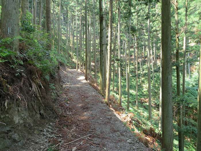 篠山市北野/波賀尾岳を散策