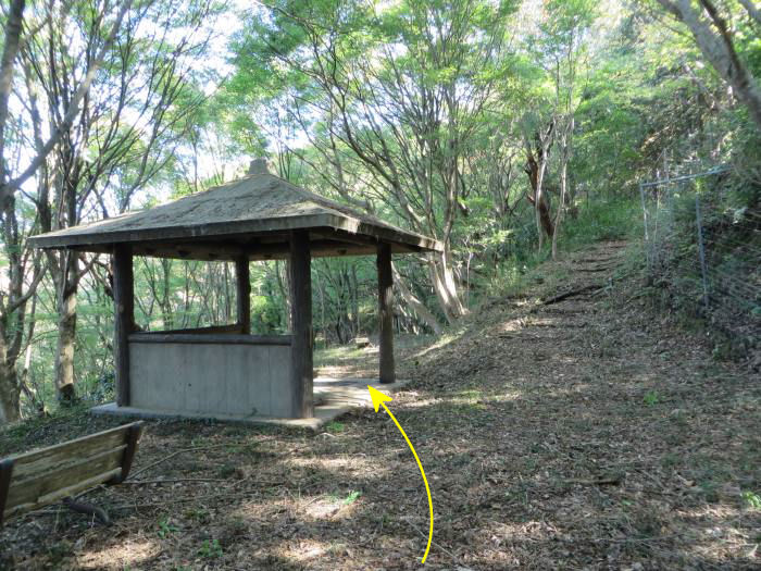 篠山市下板井/切幡寺大師堂～打坂/法連坊山を散策