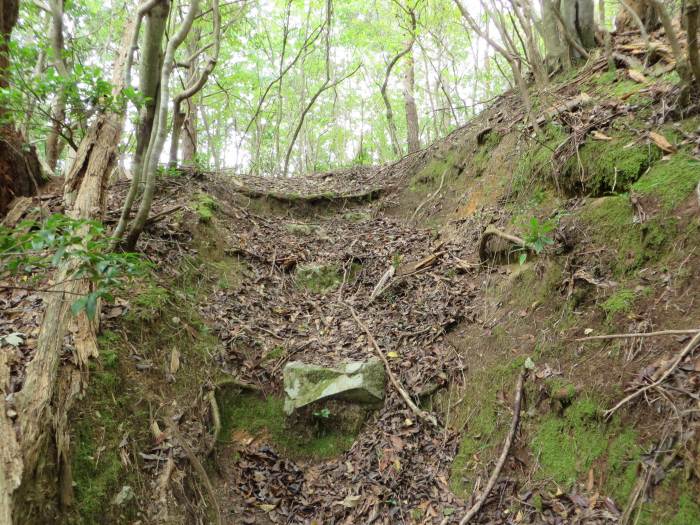 篠山市瀬利/八百里山～火打岩/平石山経塚を散策