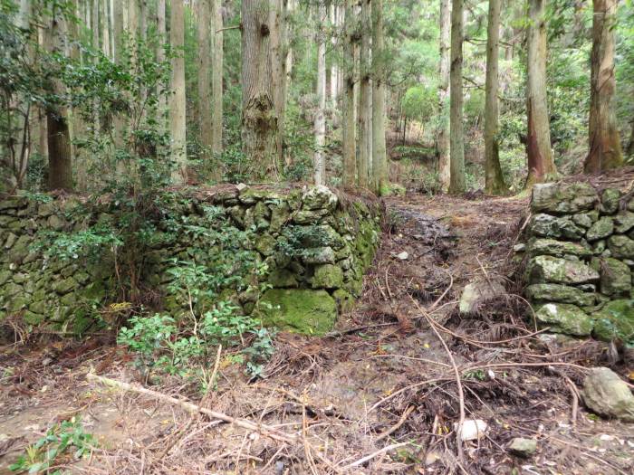 篠山市瀬利/八百里山～火打岩/平石山経塚を散策