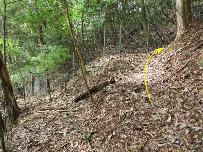 篠山市瀬利/八百里山～火打岩/平石山経塚を散策