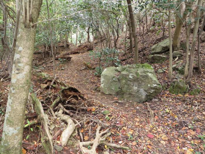 篠山市火打岩/畑山～小金ヶ嶽を散策