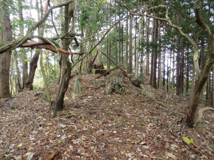 篠山市火打岩/畑山～小金ヶ嶽を散策