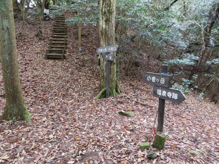 篠山市火打岩/畑山～小金ヶ嶽を散策