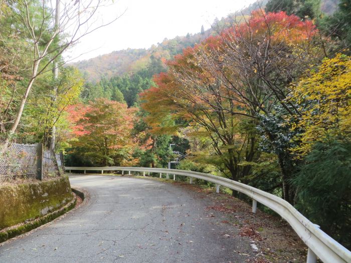 篠山市火打岩/畑山～小金ヶ嶽を散策