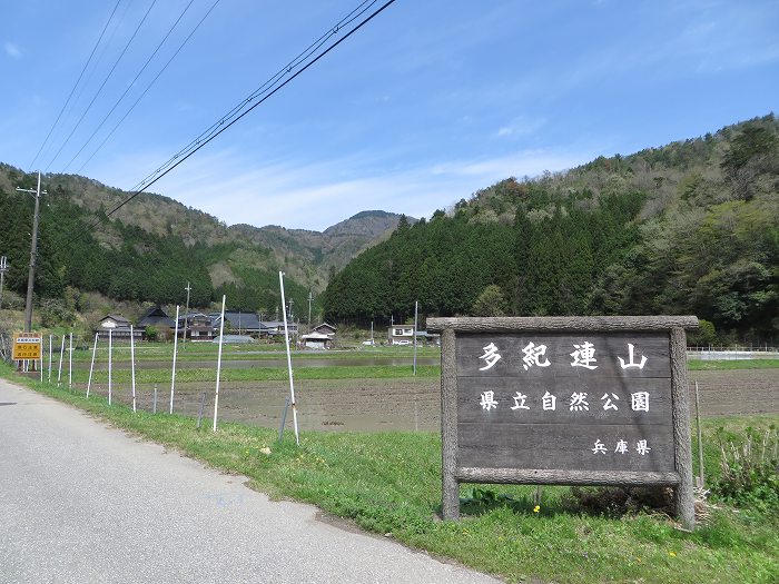 篠山市火打岩/おのぶの滝～篠山市本郷/シャクナゲスポットを散策