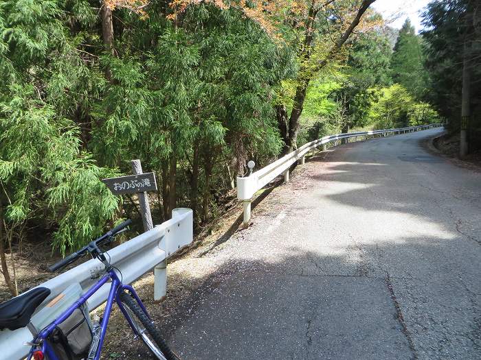 篠山市火打岩/おのぶの滝～篠山市本郷/シャクナゲスポットを散策