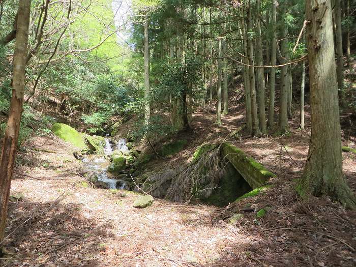 篠山市火打岩/おのぶの滝～篠山市本郷/シャクナゲスポットを散策