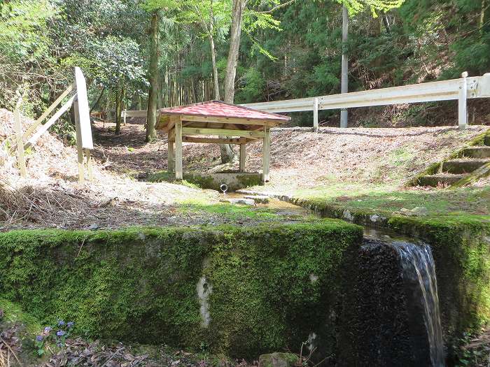 篠山市火打岩/おのぶの滝～篠山市本郷/シャクナゲスポットを散策