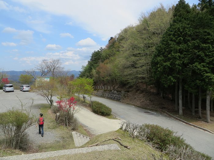 篠山市火打岩/おのぶの滝～篠山市本郷/シャクナゲスポットを散策