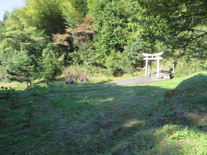 篠山市下板井/切幡寺大師堂～打坂/法連坊山を散策