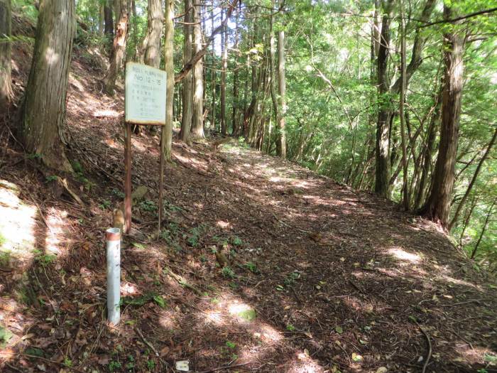 篠山市追入/瓶割峠、大乗寺～西木之部/小谷池を散策