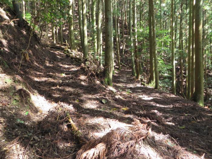 篠山市追入/瓶割峠、大乗寺～西木之部/小谷池を散策