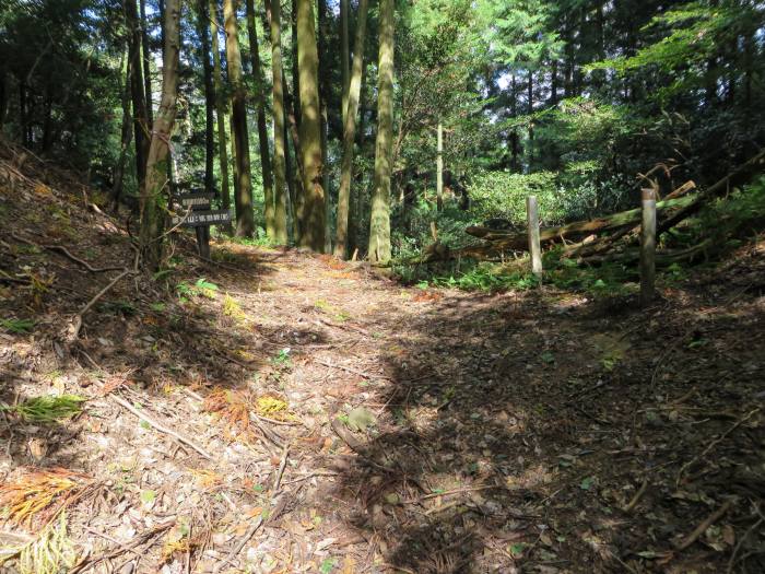 篠山市追入/瓶割峠、大乗寺～西木之部/小谷池を散策