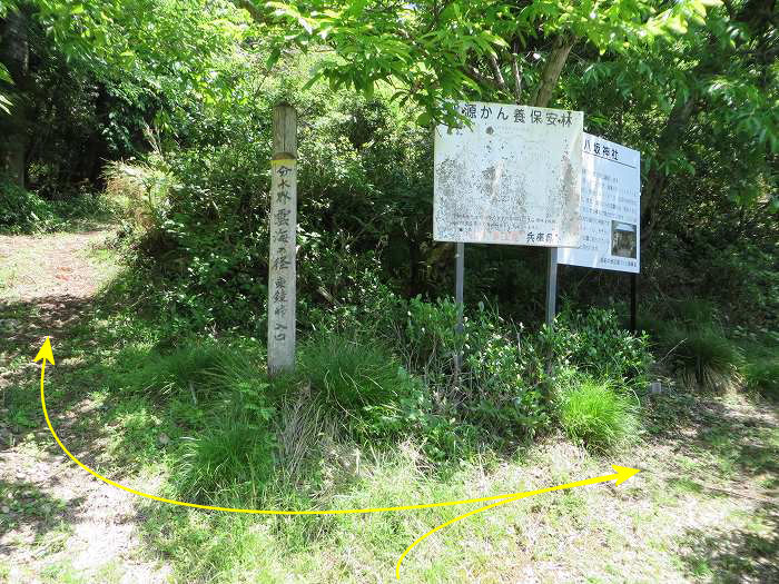 篠山市高坂/東鏡峠（高坂越）～倉本/堂の峰～坂本/御在所山を散策