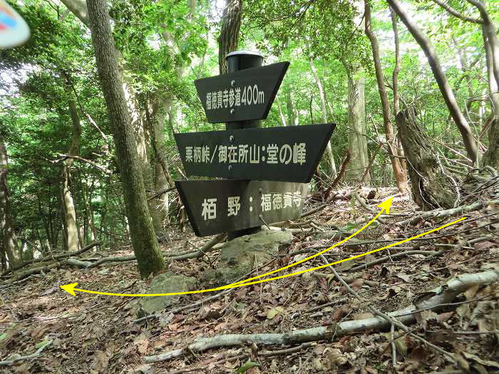 篠山市高坂/東鏡峠（高坂越）～倉本/堂の峰～坂本/御在所山を散策