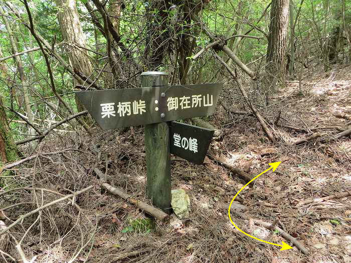 篠山市高坂/東鏡峠（高坂越）～倉本/堂の峰～坂本/御在所山を散策