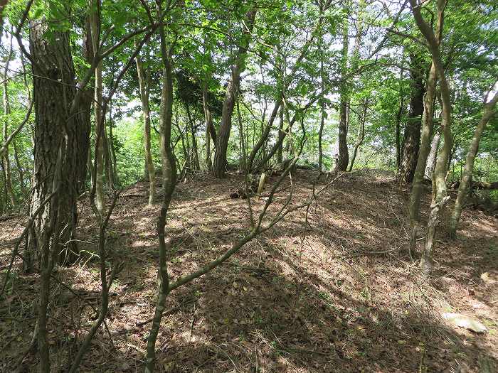 篠山市高坂/東鏡峠（高坂越）～倉本/堂の峰～坂本/御在所山を散策