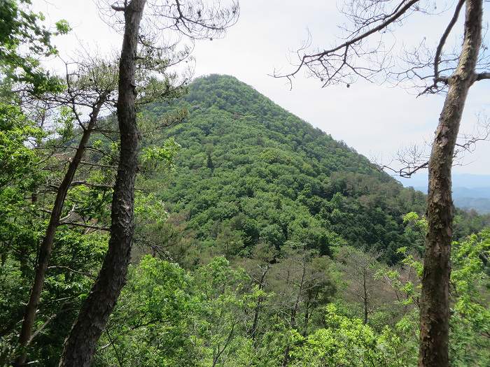 篠山市高坂/東鏡峠（高坂越）～倉本/堂の峰～坂本/御在所山を散策