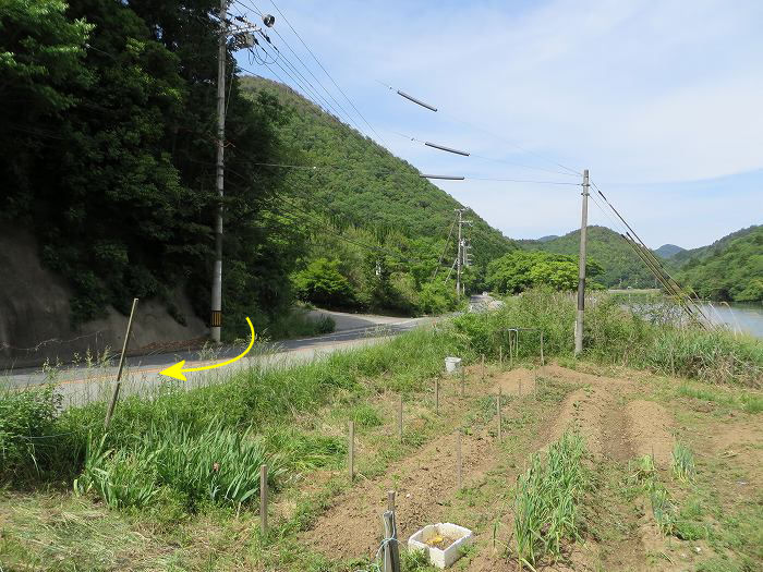 篠山市高坂/東鏡峠（高坂越）～倉本/堂の峰～坂本/御在所山を散策