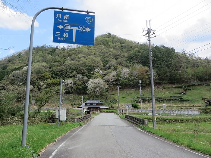 篠山市火打岩/おのぶの滝～篠山市本郷/シャクナゲスポットを散策