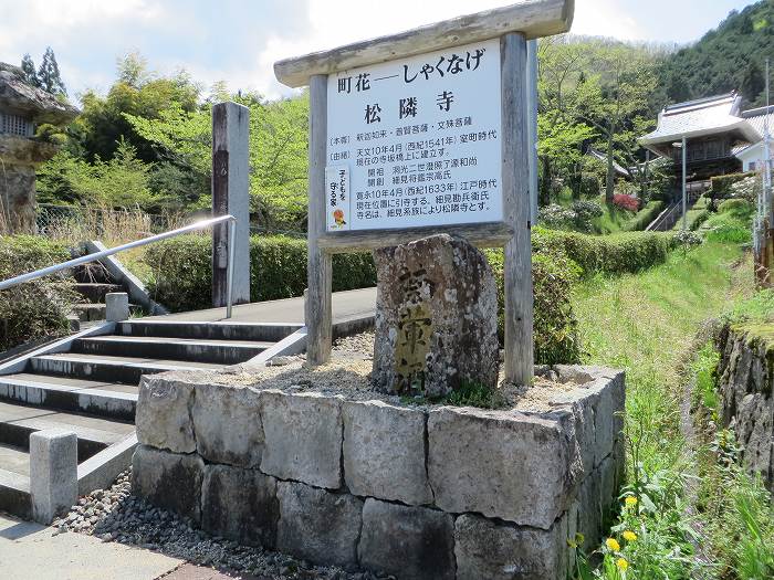 篠山市火打岩/おのぶの滝～篠山市本郷/シャクナゲスポットを散策