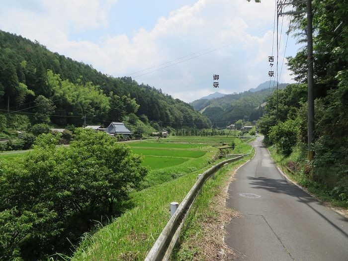 篠山市桑原/鹿倉山を散策