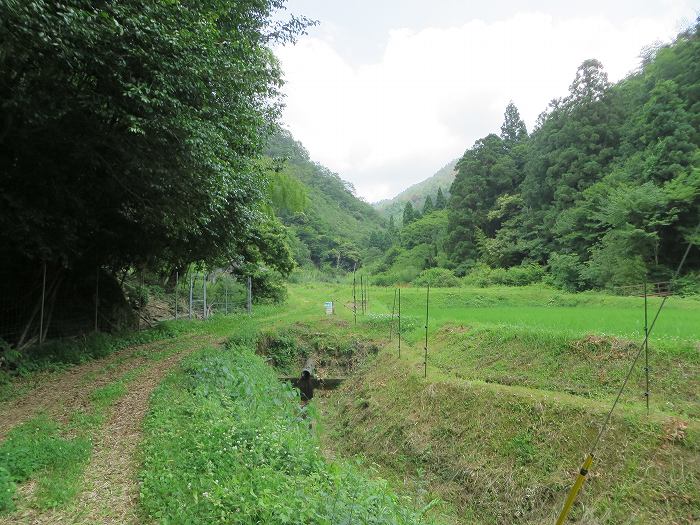 篠山市桑原/鹿倉山を散策