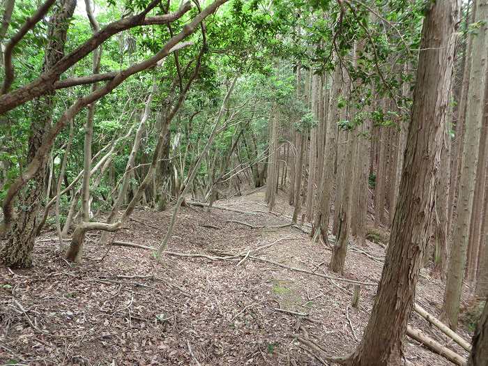 篠山市桑原/鹿倉山を散策