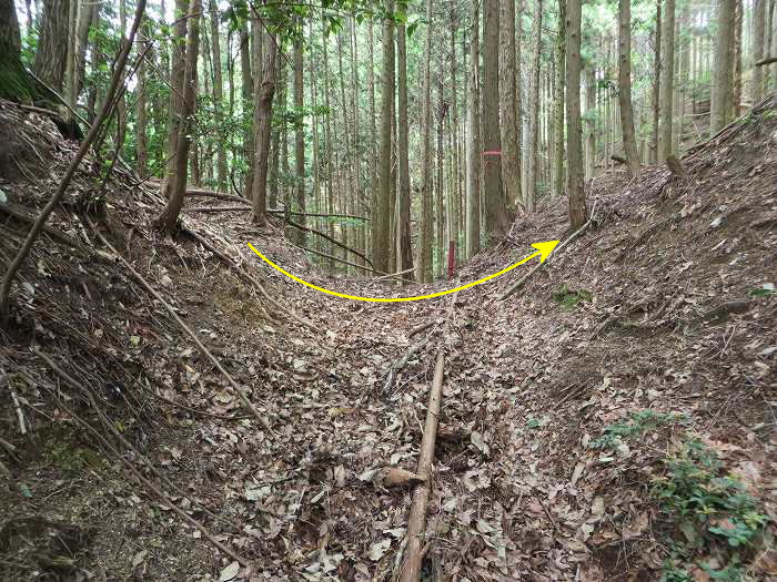 篠山市桑原/鹿倉山を散策