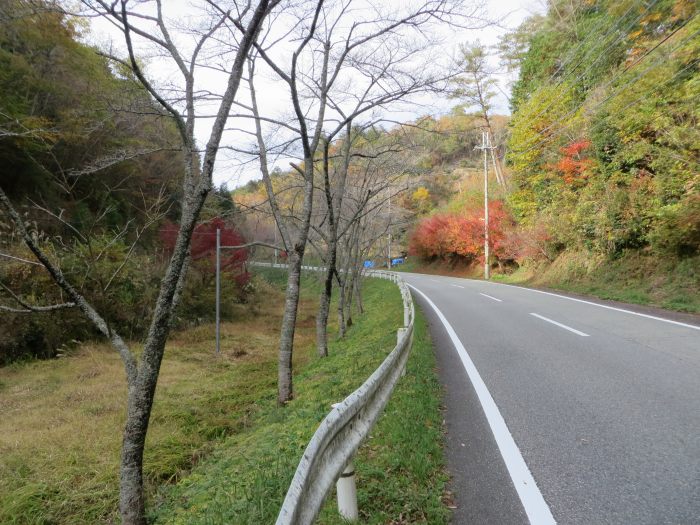 篠山市藤坂/弓谷峠～桑原/箱部峠を散策