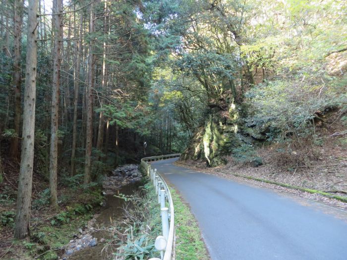 篠山市藤坂/弓谷峠～桑原/箱部峠を散策