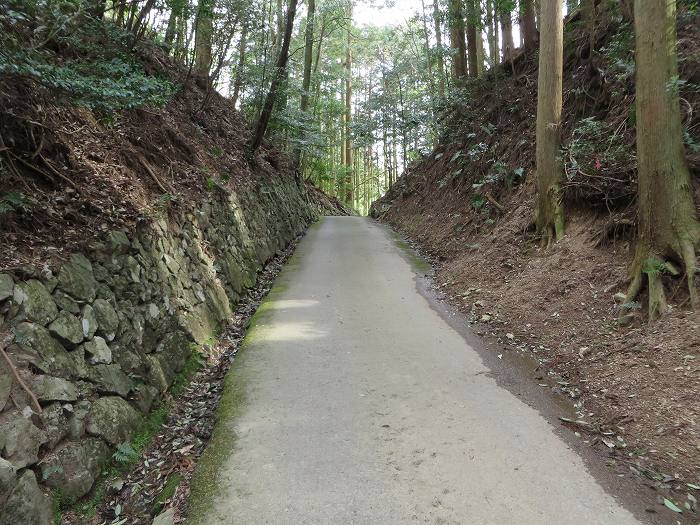 篠山市上筱見/筱見四十八滝～八ヶ尾山～篠山市東本荘/洞光寺を散策