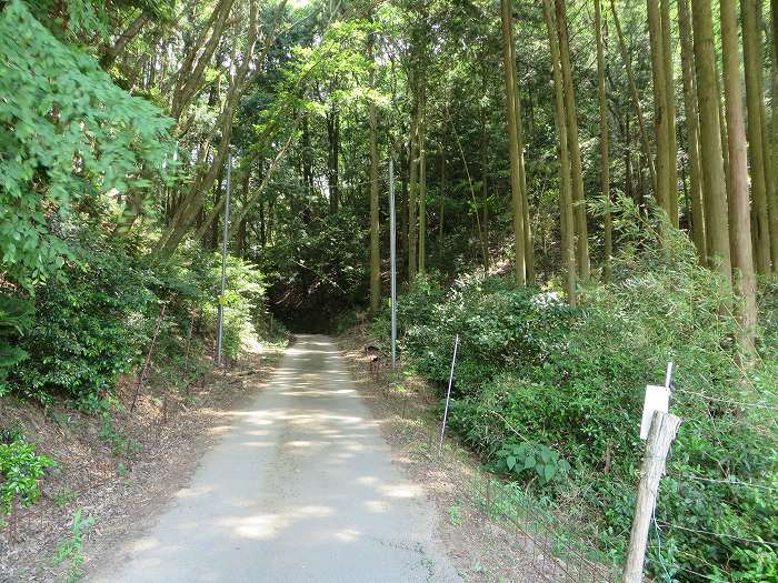 篠山市藤坂/板坂峠～船井郡京丹波町八田/西山を散策