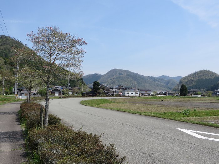 篠山市上筱見/筱見四十八滝～八ヶ尾山～篠山市東本荘/洞光寺を散策