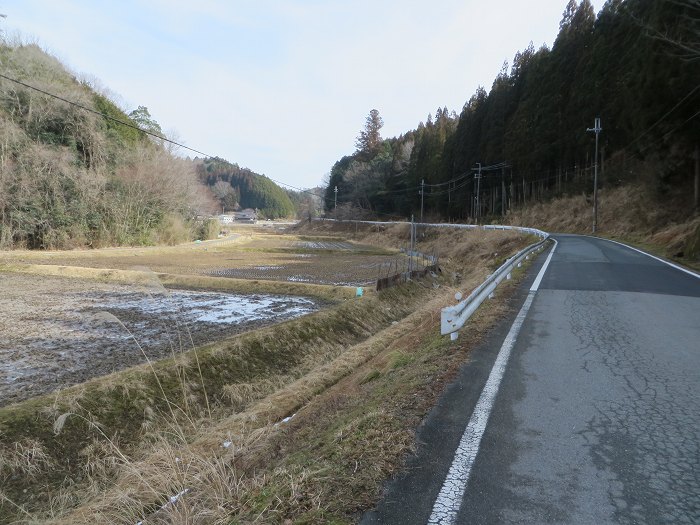 篠山市西野々/県道303号線～奥原山を散策