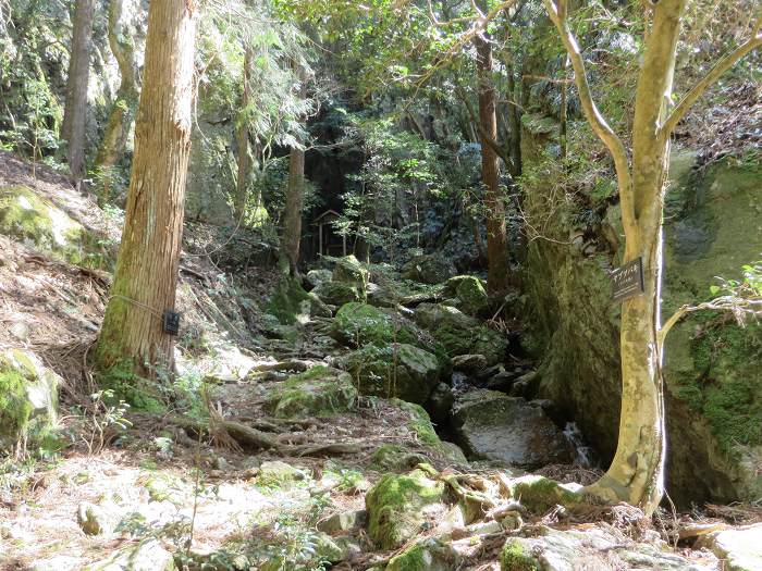 篠山市上筱見/筱見四十八滝～八ヶ尾山～小原/弁天池の峠を散策