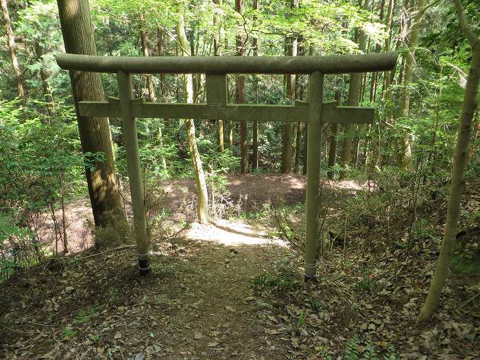 篠山市宮代/櫃ヶ嶽（羊ヶ嶽）～藤坂/雨石山・岩尾峰・毘沙門山を散策