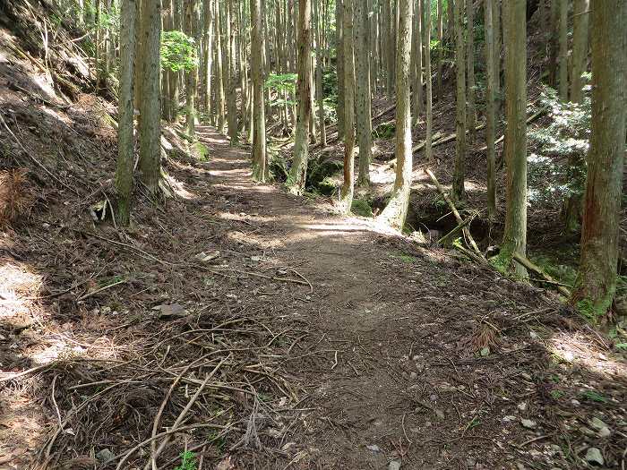 篠山市宮代/櫃ヶ嶽（羊ヶ嶽）～藤坂/雨石山・岩尾峰・毘沙門山を散策