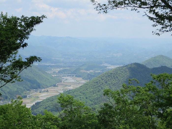 篠山市宮代/櫃ヶ嶽（羊ヶ嶽）～藤坂/雨石山・岩尾峰・毘沙門山を散策