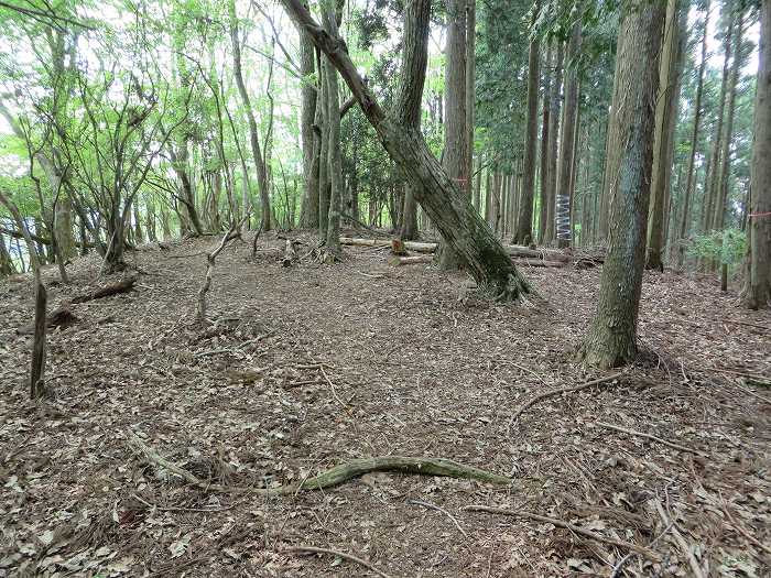 篠山市宮代/櫃ヶ嶽（羊ヶ嶽）～藤坂/雨石山・岩尾峰・毘沙門山を散策