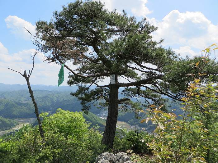 篠山市宮代/櫃ヶ嶽（羊ヶ嶽）～藤坂/雨石山・岩尾峰・毘沙門山を散策