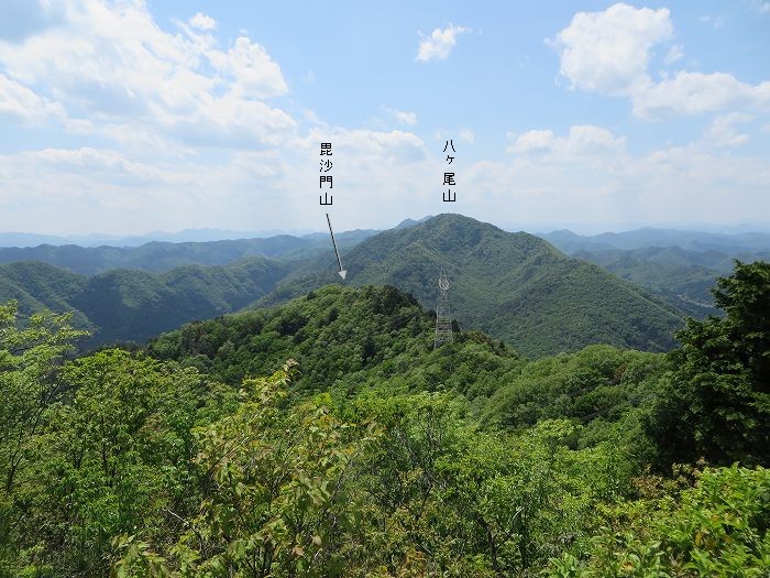 篠山市宮代/櫃ヶ嶽（羊ヶ嶽）～藤坂/雨石山・岩尾峰・毘沙門山を散策