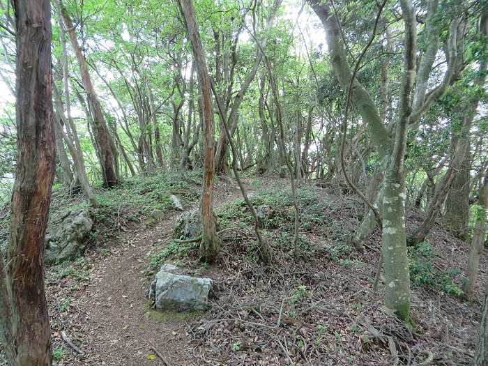 篠山市宮代/櫃ヶ嶽（羊ヶ嶽）～藤坂/雨石山・岩尾峰・毘沙門山を散策