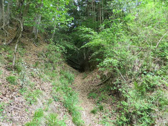 篠山市宮代/櫃ヶ嶽（羊ヶ嶽）～藤坂/雨石山・岩尾峰・毘沙門山を散策