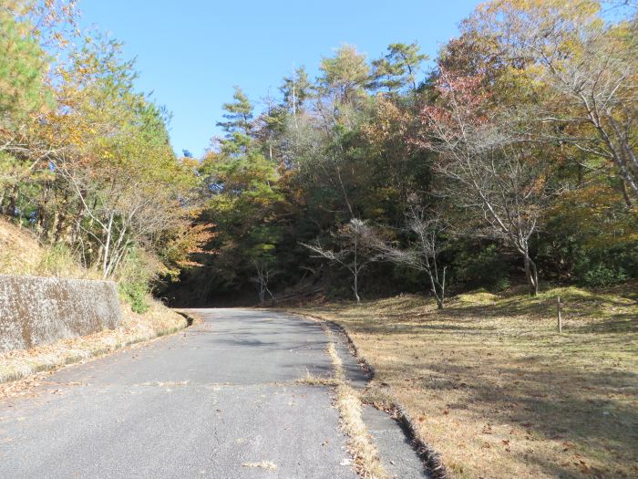 篠山市藤坂/弓谷峠～桑原/箱部峠を散策