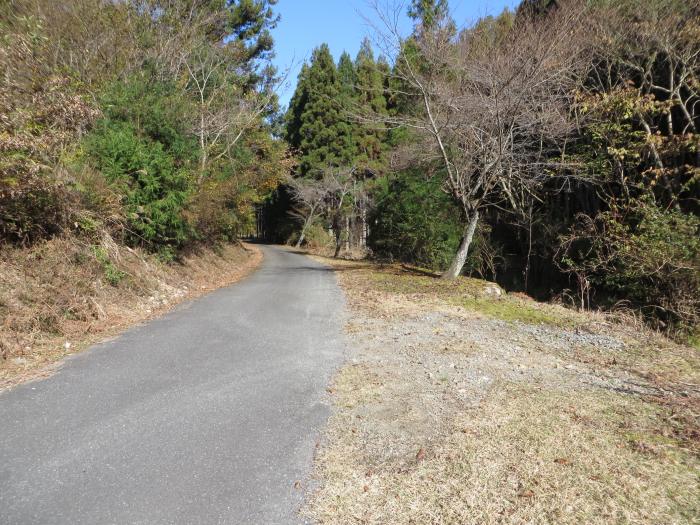 篠山市藤坂/弓谷峠～桑原/箱部峠を散策