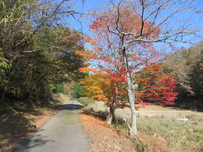 篠山市藤坂/弓谷峠～桑原/箱部峠を散策